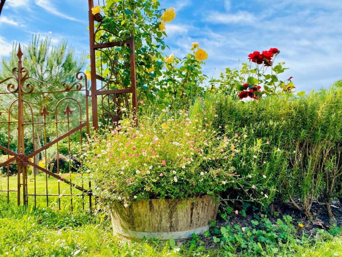 Le Gite Du Castelbosc Hagedet Ngoại thất bức ảnh